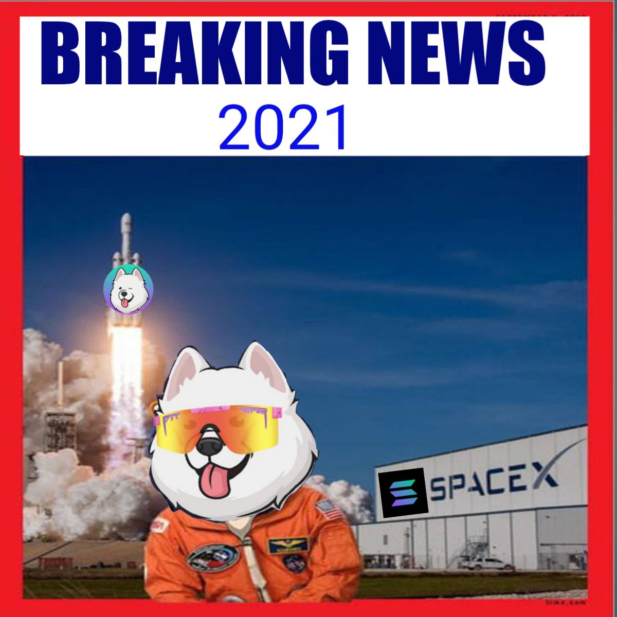 hayleytamaraa's tweet photo. @samoyedcoin @gate_io @orca_so @RaydiumProtocol @StepFinance_ #SamoIsComing https://t.co/Jkg5YJW6Wa