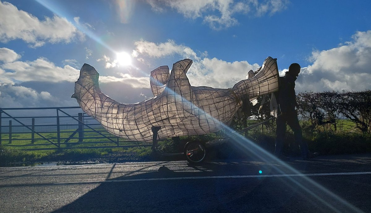 Clarion_the_bear tweet media