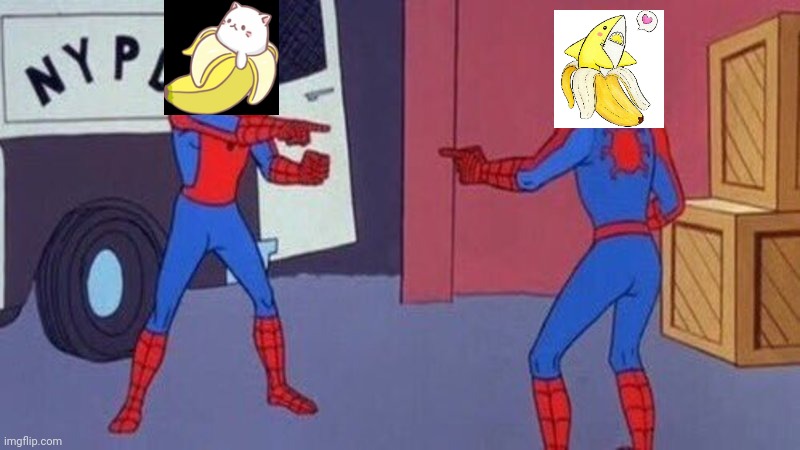 colewburke's tweet photo. Followed an account with a kitten+banana profile picture the other day. Pretty bummed that he hasn't followed me back because now I can't DM him the meme I made. https://t.co/3TdagY0WcX