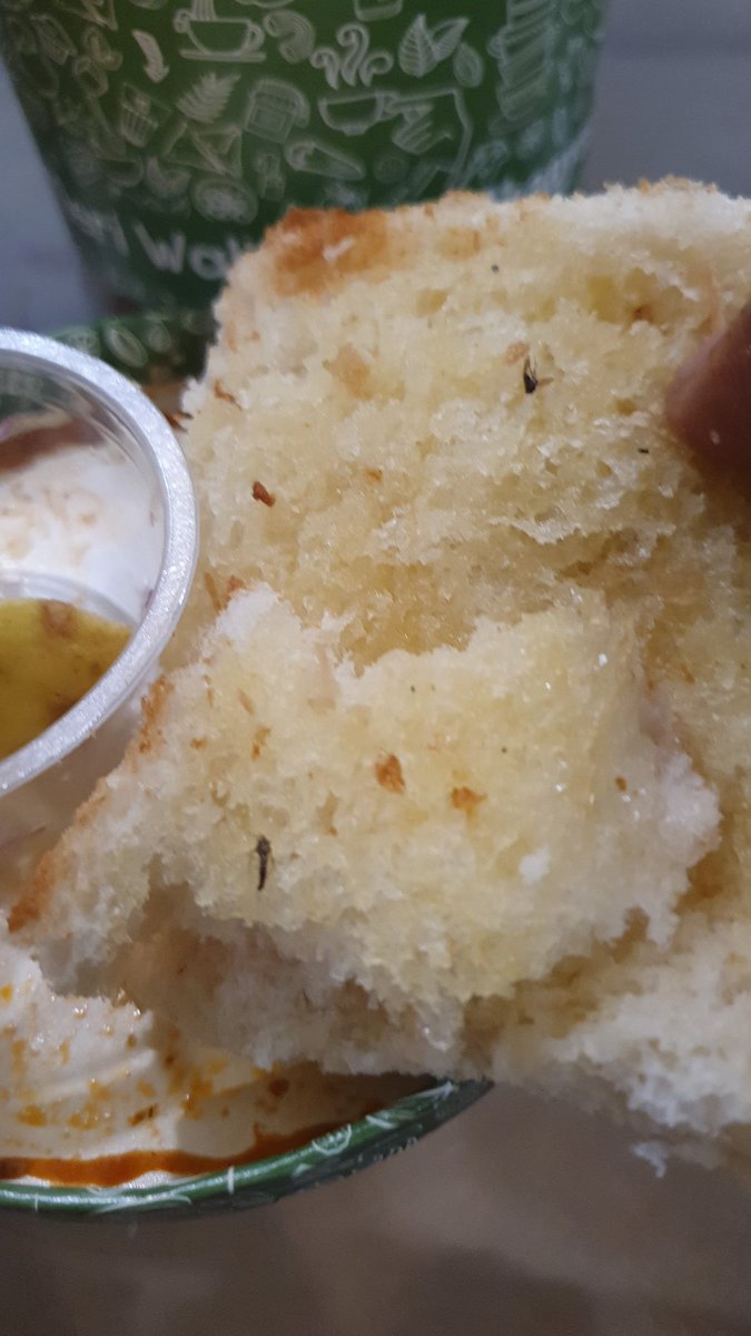 iprashantshetty's tweet photo. @Chaayos found a mosquito dead on the pav, tried ignoring it when I found it on another pav as well. Something is terribly wrong with your kharghar branch! https://t.co/MrWuF2TlXV