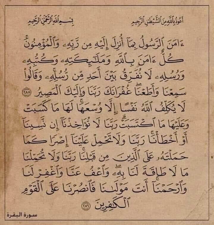 "خواتيم سورة البقرة.. تخيل ثواب اللي يقرأها بسببك "🤎.