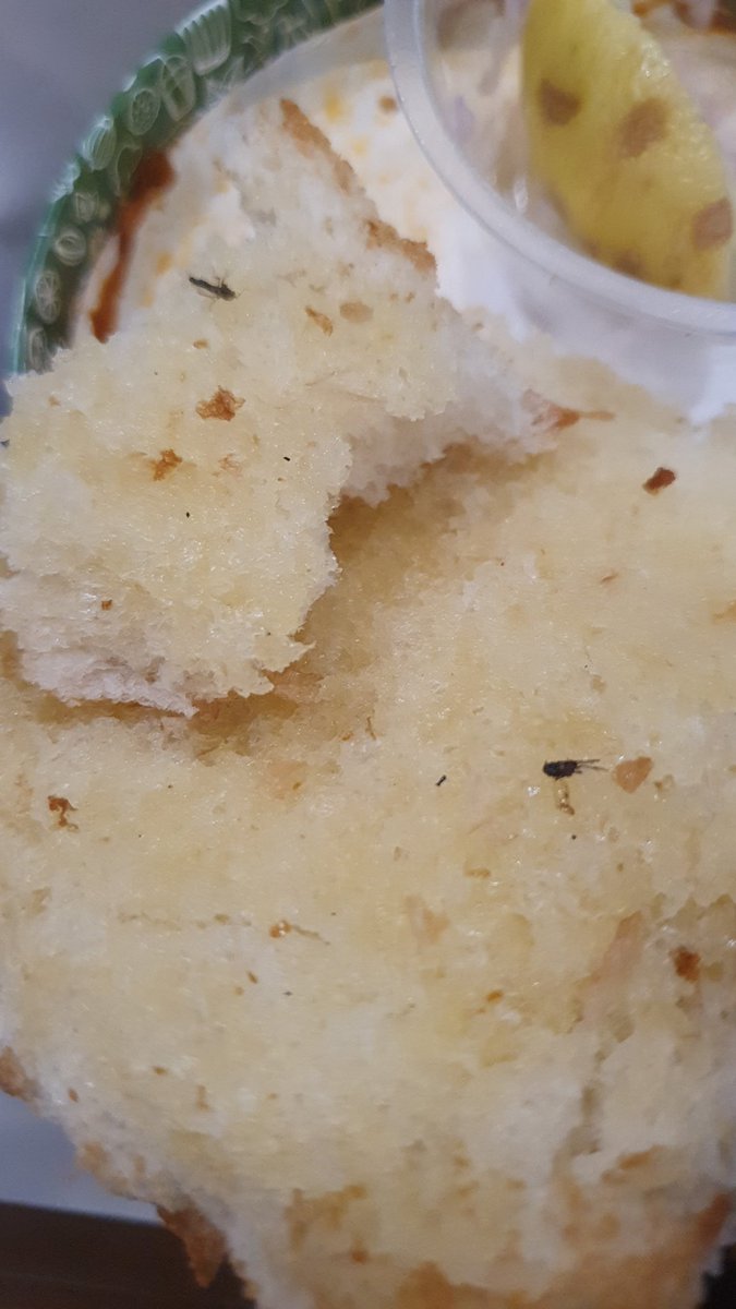iprashantshetty's tweet photo. @Chaayos Does the offer include the dead mosquitos found in the pav bhaji I ordered from @Chaayos kharghar branch? #DontWelcomeToChaayos :/ https://t.co/0MyC4wXcxA