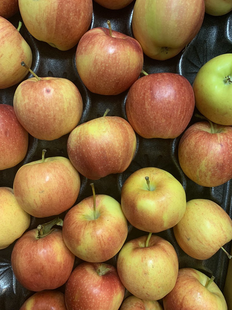 fueledbyaisd's tweet photo. During the month of October, we participated in @TexasDeptofAg Farm Fresh Challenge. We served local watermelon, pears, apples, oranges and grapefruit, tomatoes, cilantro, bread and milk. Many of our entrees are also locally produced. 

#FarmFreshTexas #FarmFreshChallenge￼￼ https://t.co/9CNsbSlzHD