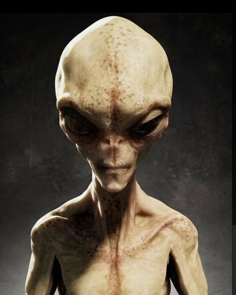 Nennir Helgi f***ing bjöss að beinga mig!!! #heimamedhelga