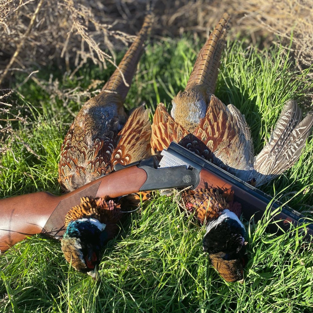 Congrats Jill! Getting it done with her 20 gauge CZ Quail in South Dakota.

#CZUSAfieldsports #pheasanthunting #uplandhunt