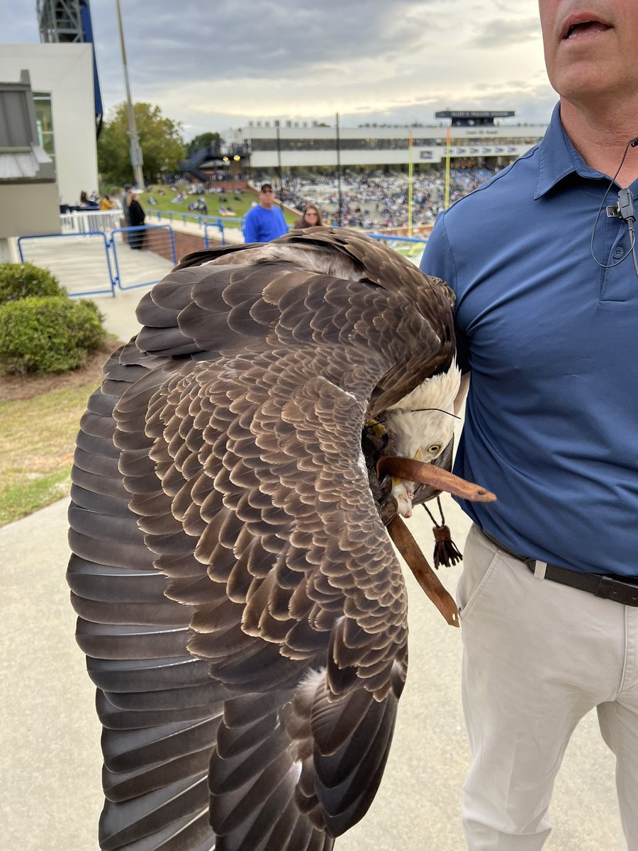 Georgia Southern Football tweet media