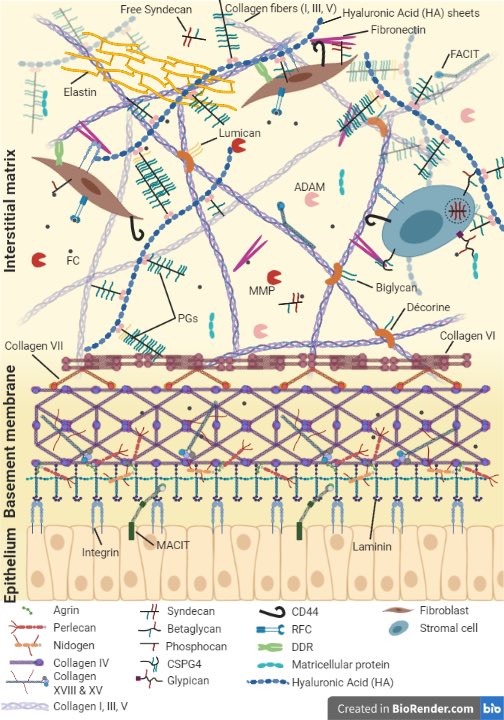 xtracellymatrix's tweet photo. looking for a new version of shutes and ladders? #OrganelleVote2021 #GootAPBio https://t.co/ve4TY1O5cU