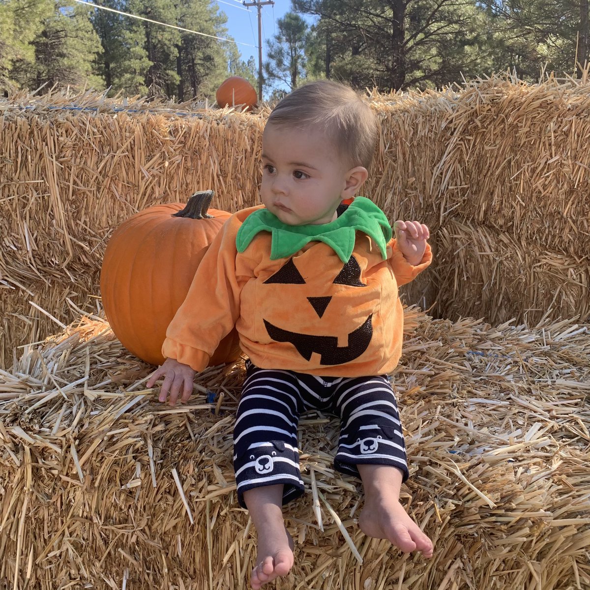XxXxtulip's tweet photo. Happy halloween! 🎃 https://t.co/x87FESPICH
