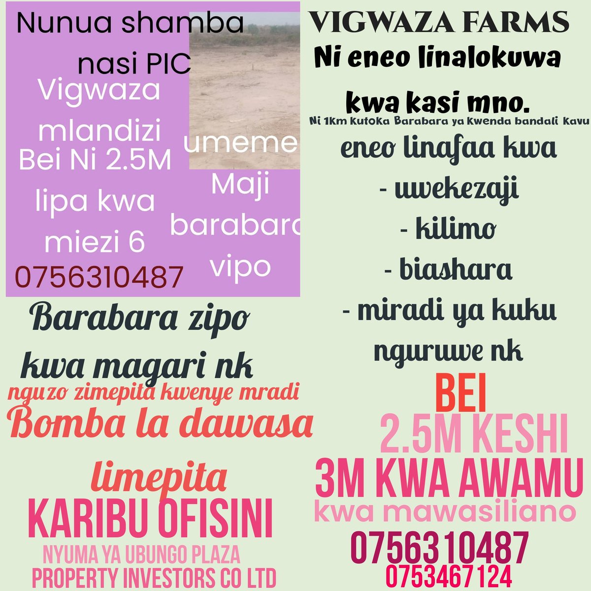 fahamu_m's tweet image. 