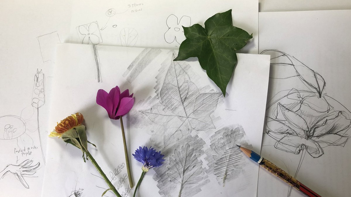 Thank you to everyone who joined us we will be back with another Q and A next week focusing on animals. Todays flower drawing basics video will remain accessible for 14 days at twitch.tv/newcastlex/vid…