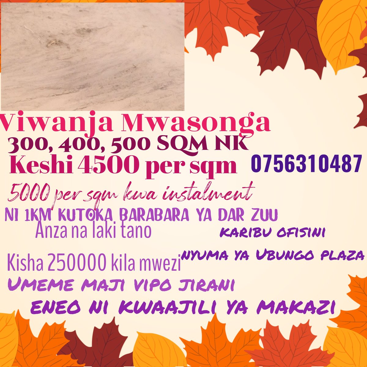 fahamu_m's tweet image. 