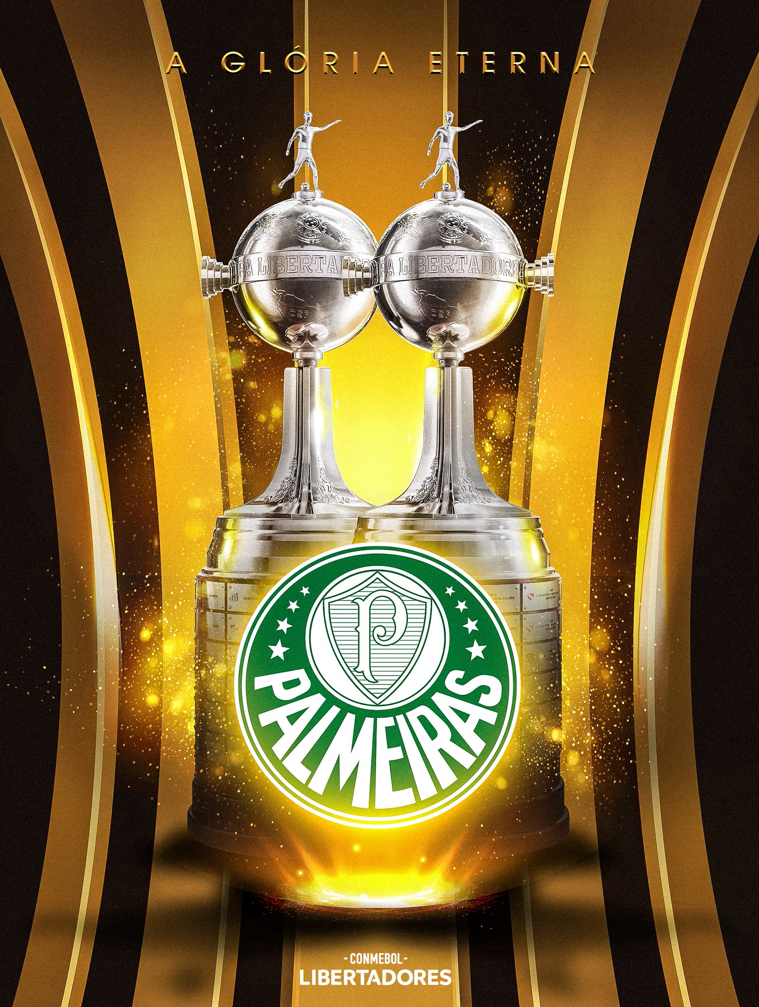 CONMEBOL Libertadores on X: ✓🌍 Por uma nova taça! O representante da  América do Sul no Mundial de Clubes da @FIFAcom é o @Palmeiras, novo  campeão da CONMEBOL #Libertadores.  / X