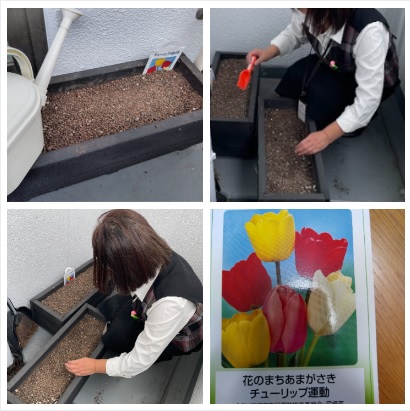 fuji_denki's tweet photo. 今年も「花のまちあまがさきチューリップ運動」に協力するため、20球のチューリップの植え付けをしました。コロナの影響で、地域貢献活動の機会が減ってきていますができる範囲で、社会に貢献できるよう活動を行っていきます！
#尼崎 #電気工事士 #チューリップ運動 #花のまちあまがさき #地域貢献活動 https://t.co/zbG9n4rDNm