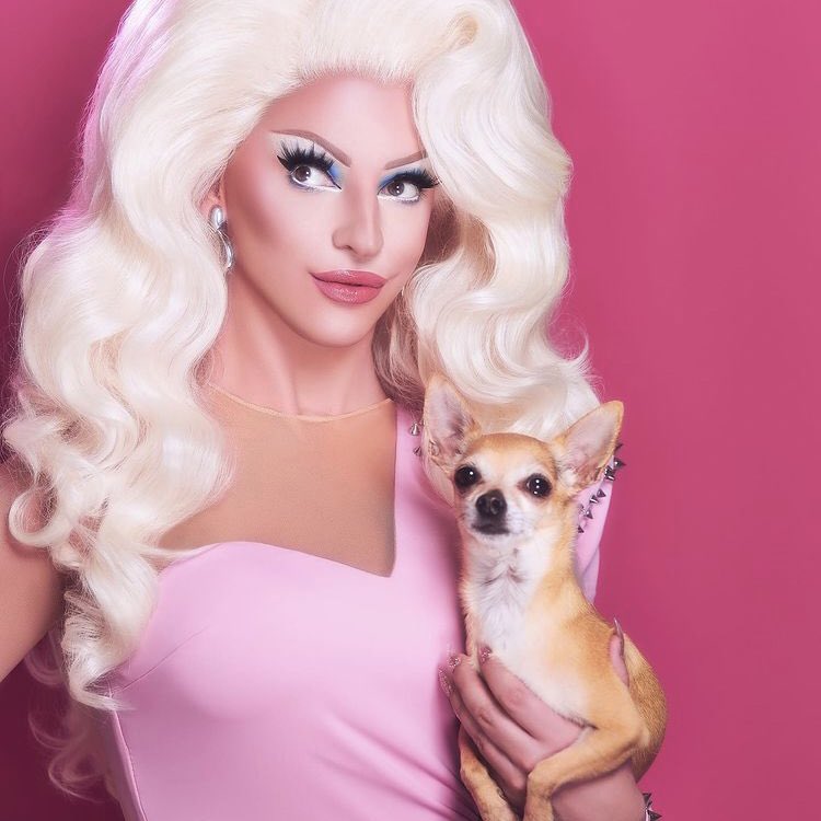 partydragrace's tweet photo. 👑 Party Drag Race Winner Circle 👑

Season 1 - Bob The Drag Queen (@LucasoAparecido)

Season 2 - Sasha Velour (@GotiKaVelour)

All Stars 1 - Miz Cracker (@iiLuxx_) https://t.co/bzfnV9qKld