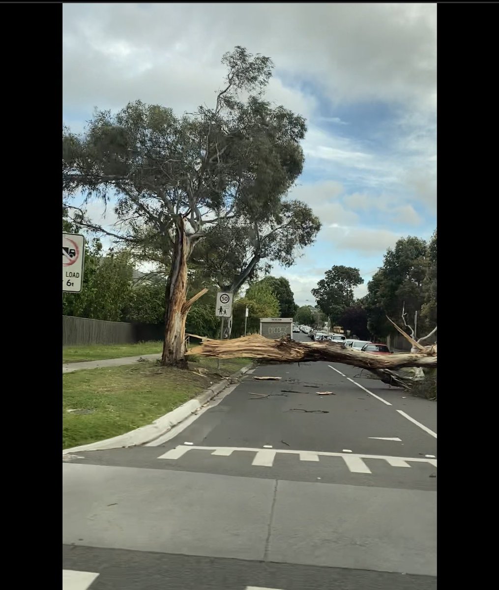 #melbweather in Essendon this morning.