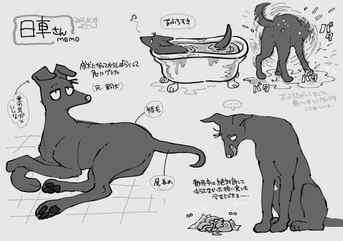 日車さん獣化メモ 