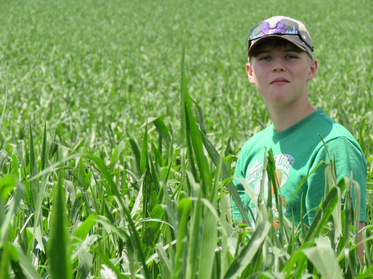 MidwestLandGuy's tweet photo. That look, when you catch your son in the cornfield, looking at corn. #corn #summerhelp @NationalCorn https://t.co/xOnmWFvOkX