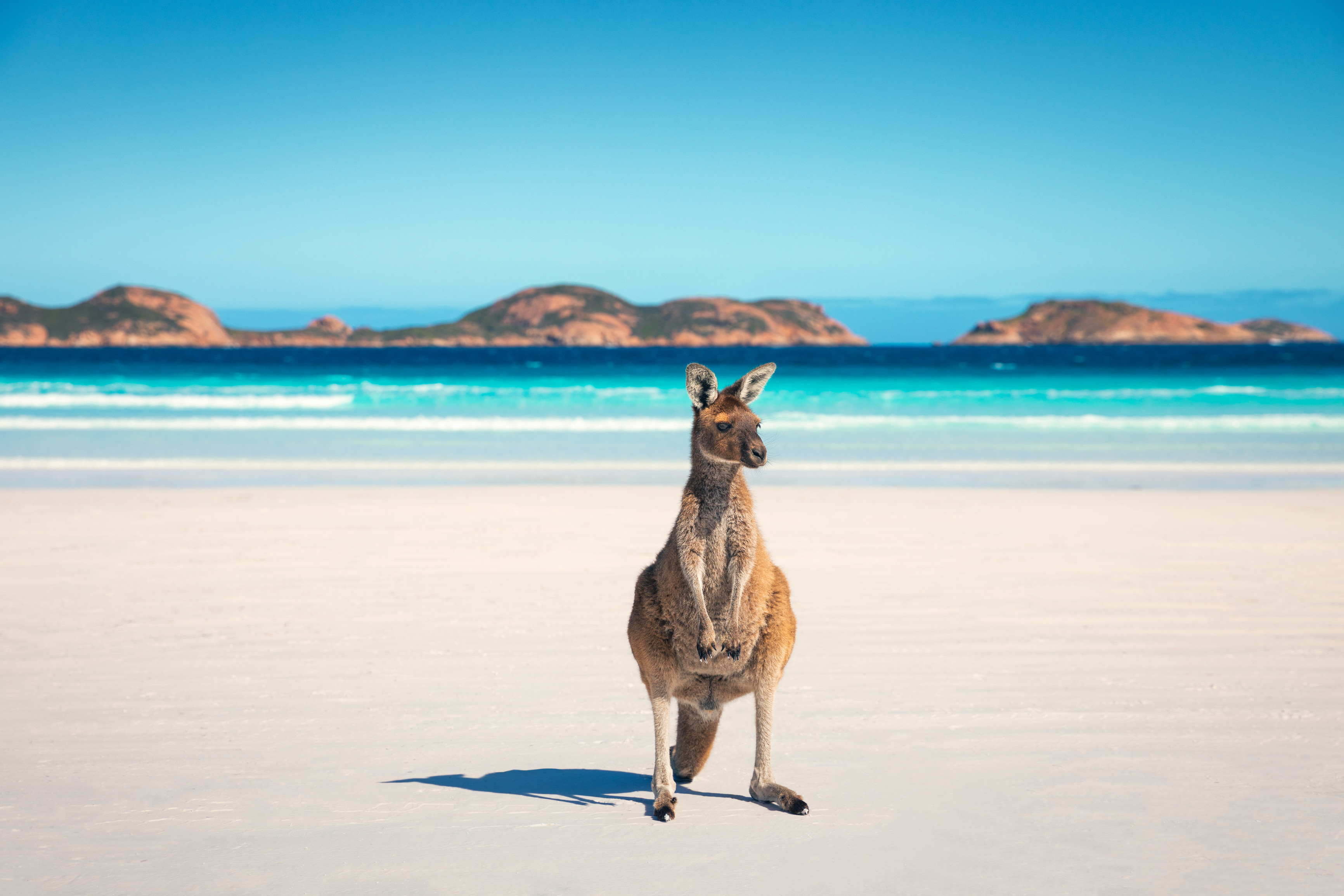 tourism-australia-tourismaus-twitter