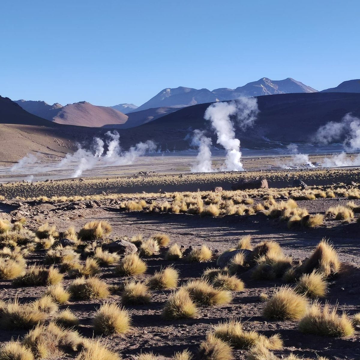 falbertog's tweet photo. Los #geiserdeltatio hermoso e increíble lugar .. las gracias de mi empleo https://t.co/QUeNWymUXs