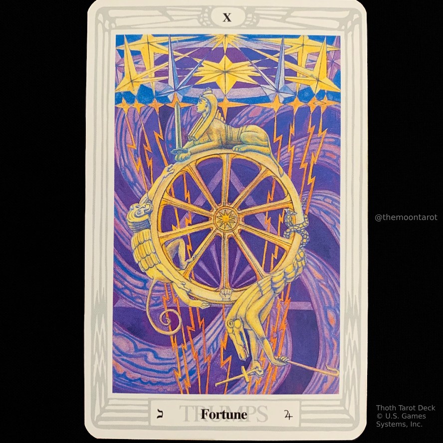 The Moon Tarot tweet media
