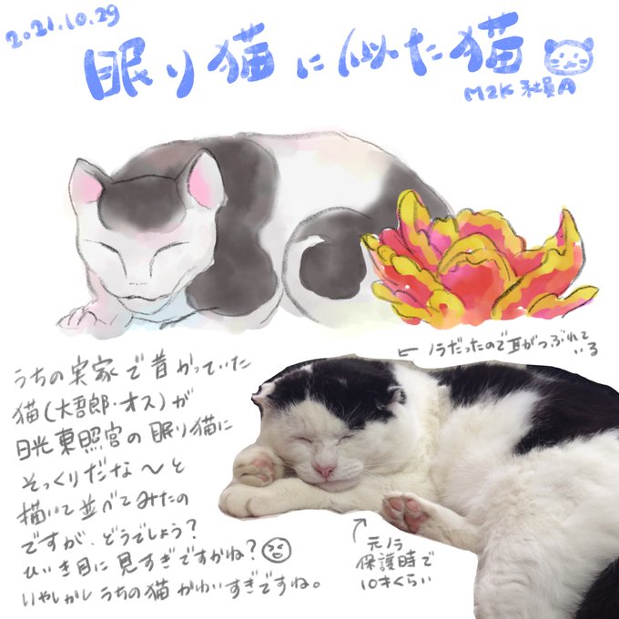 日光東照宮のtwitterイラスト検索結果