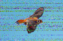 radionanny2k's tweet photo. 2/2 @SWRadiogram https://t.co/XHcH7BKA2I