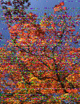 radionanny2k's tweet photo. 2/2 @SWRadiogram https://t.co/XHcH7BKA2I