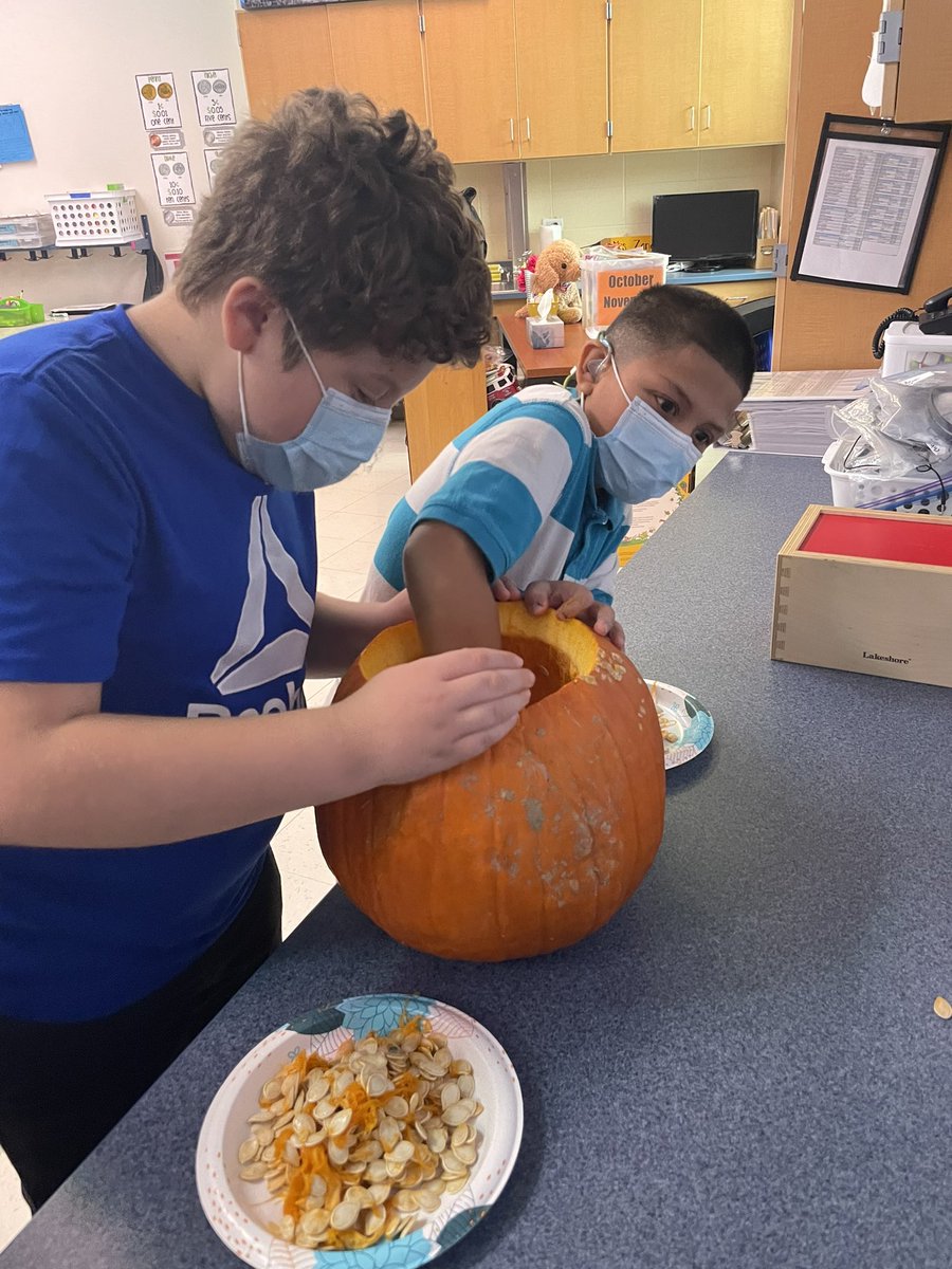 Jennifer Zanayed tweet media