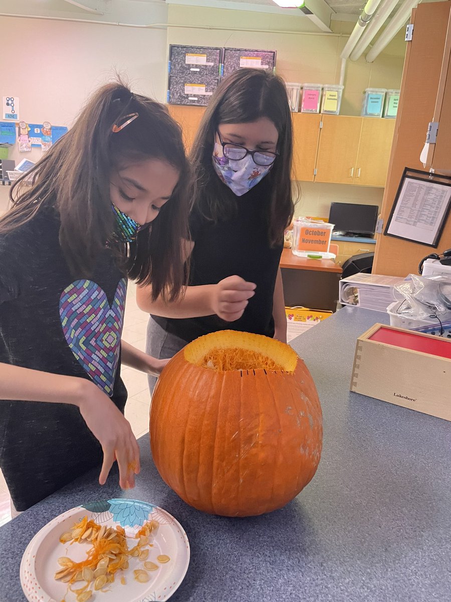 Pumpkin exploration is one of our absolute favorite fall activities! <a href="/LakeParkASD4/">Lake Park Elementary School</a> #ASD4ALL
