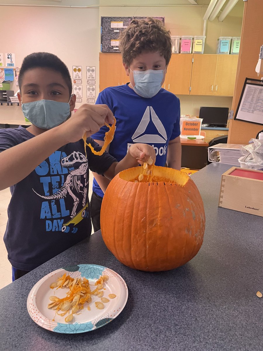 Jennifer Zanayed tweet media