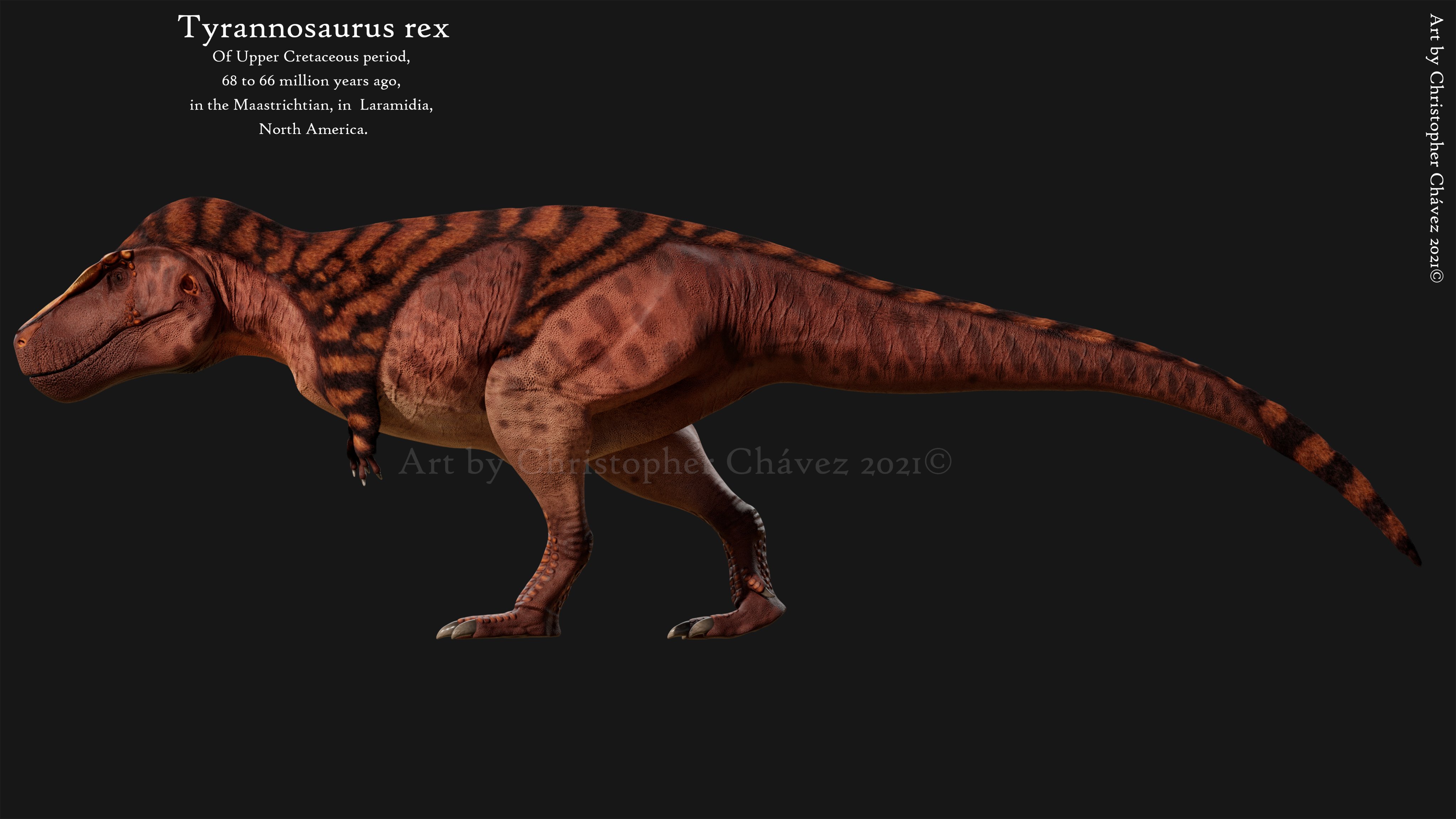 TYRANNOUSAURUS REX paleoartistic reconstruction -  Portugal