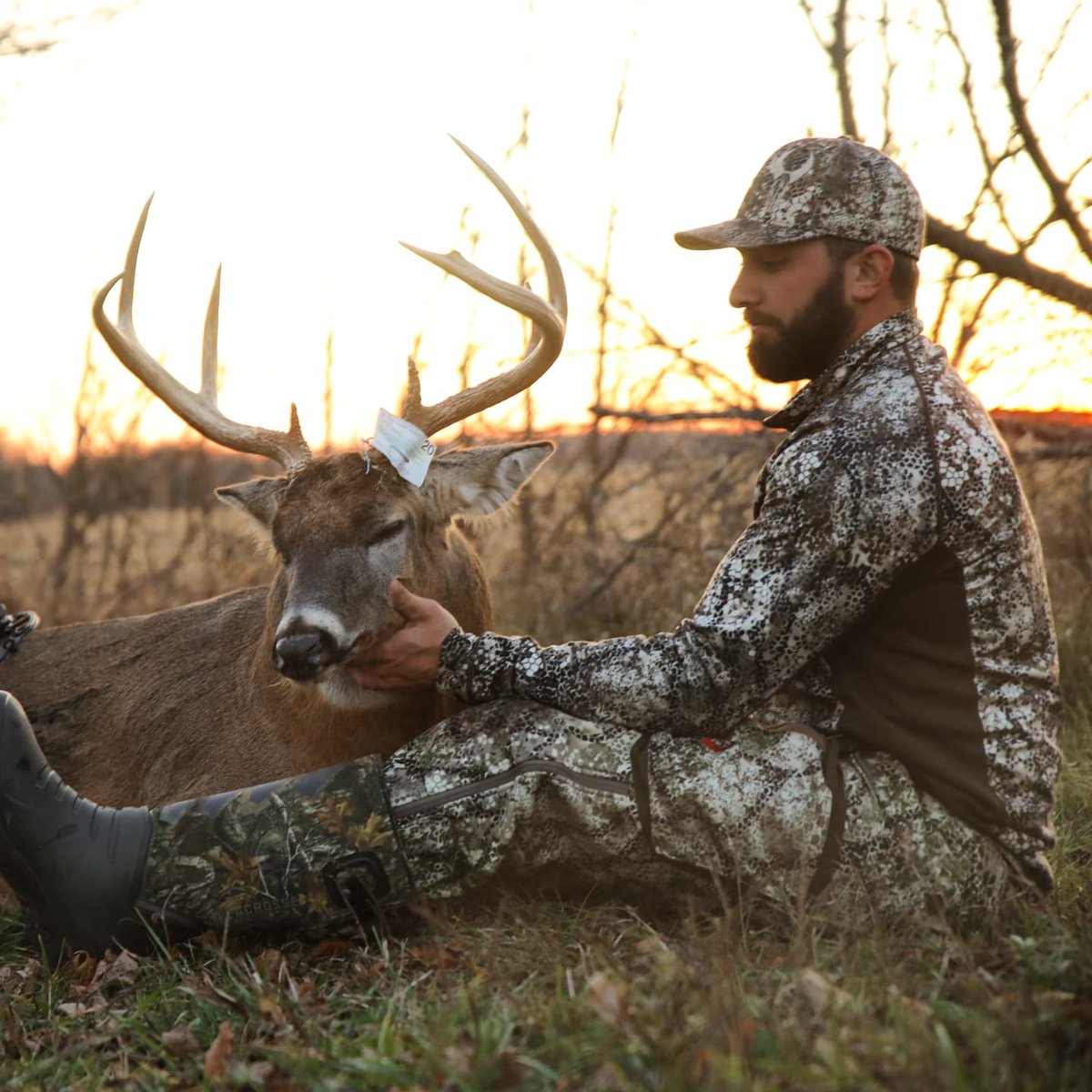 The story of this bully buck just dropped on our YouTube channel!!! Thanks to everyone who watches!

youtu.be/R2VCDPDjzF8

#deer #hunting #bbd #bowhunting #deerhunting