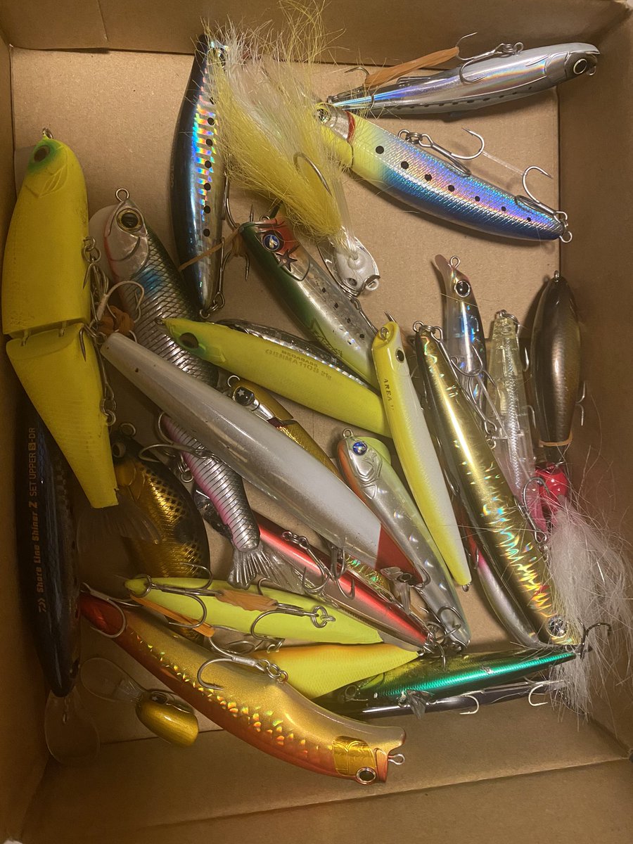 たくぽん/関口拓人 tweet media