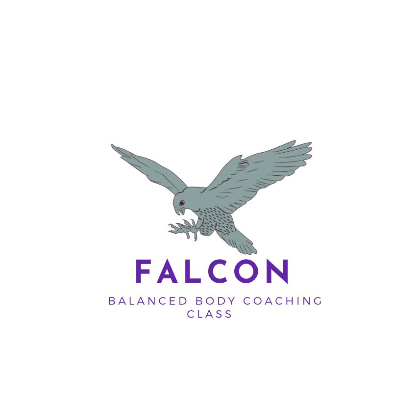 1Princess_HJO's tweet photo. READY TO FLY? Class will be back in Session and will be Supervised and #Certified, you also will have a #NDA and #LiabilityWaiver form and #Test so be prepared! Available Now Brand New FALCON BALANCED BODY COACHING CLASS for all. START #TEACHING OUR #CHILDREN NOW ABOUT DISEASES . https://t.co/9zzlagMBus