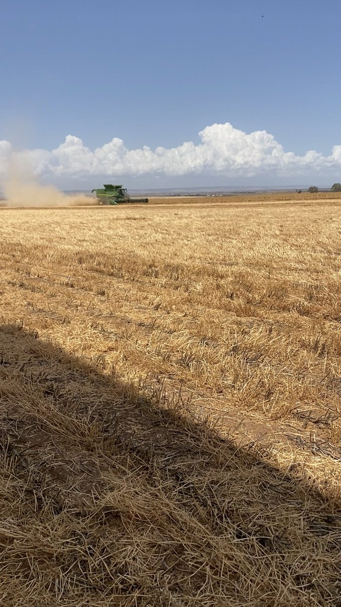 Nice that those clouds stayed away from us but we got the wind. Now today raining.