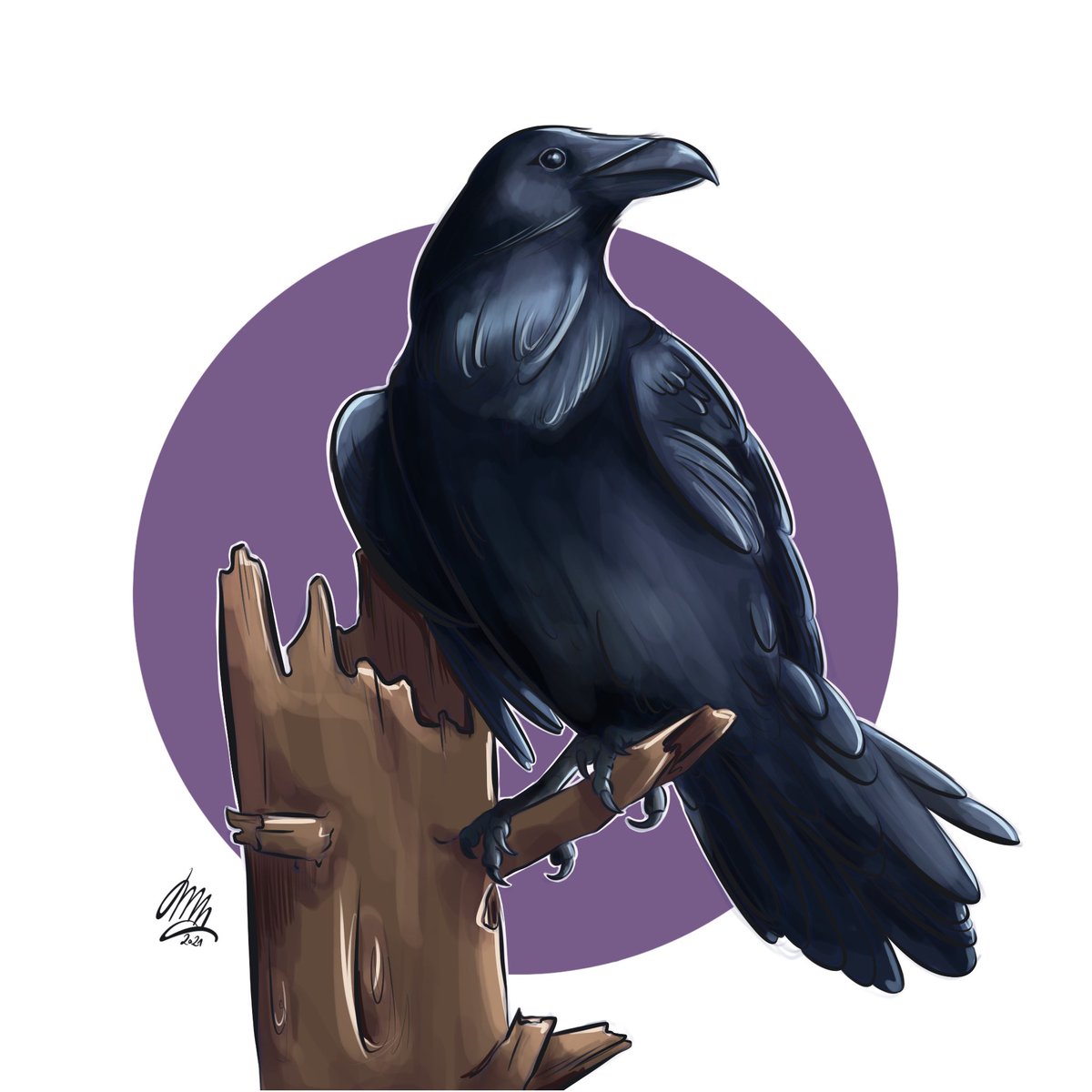rayven2303's tweet photo. @Cloafleev1606 Man könnte meinen mein Seelentier Kappa - neee: einfach interessante Tiere 🤗
#animaltober #raven #rayven 😉 https://t.co/R2WlHvALDy