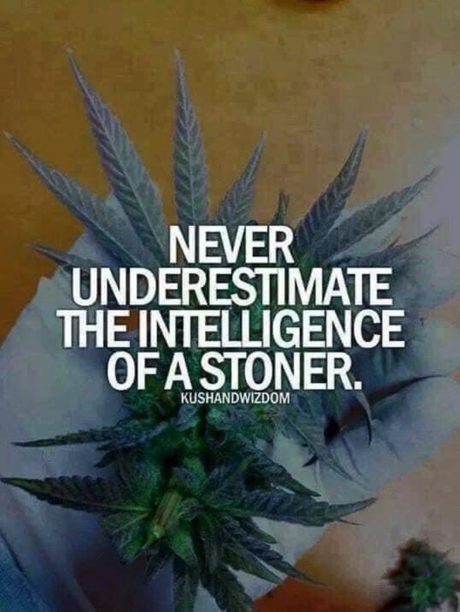 travisa850's tweet photo. A few of my favorite stoners.. one love & much love y’all!!
• @EKing420
• @GrowerHumboldt
• @NurturingSprout
• @flawdNbrokn
• @Dontcallmen1kk1
• @podcastnprayer
• @NewAgeCannaPC
• @packedpinchieez
• @homebakedjay
#Mmemberville #StonerFam #CannabisCommunity #GYFO https://t.co/y8WADleYXe