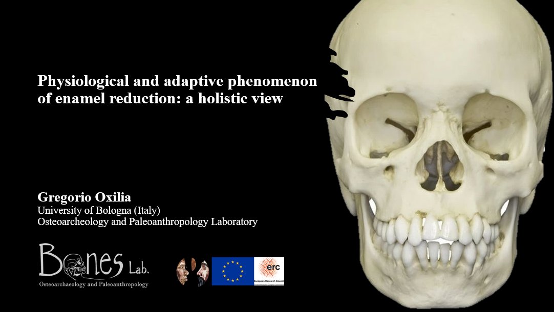 OxiliaG's tweet image. Tomorrow (29th October) I will present the"Physiological and adaptive phenomenon of enamel reduction: an holistic view." 🦷🦴 @erc_success. Workshop on: "Dental pathways through times: the mechanisms behind human dental reduction" organized by @univbordeaux_EN @PACEA_Bordeaux