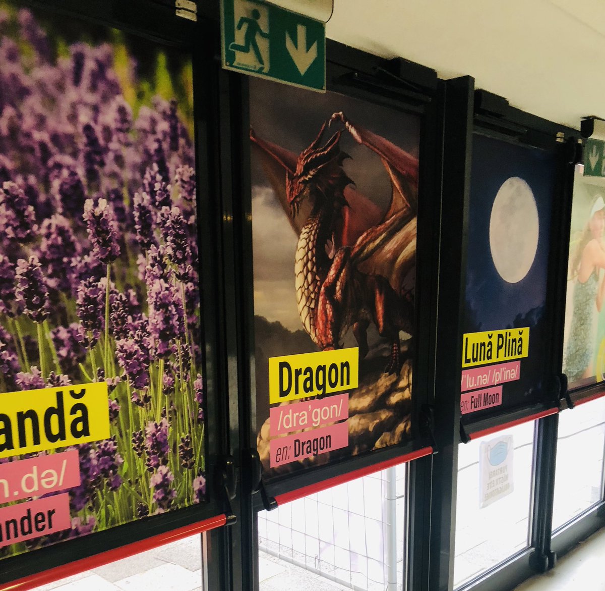 TransylvaniaOpn's tweet photo. While in the player’s restaurant at Transylvania Open, you might as well learn some useful Romanian words 🧄🧛🏻♀️
#SpookyOpen https://t.co/3WZHmoaCwS