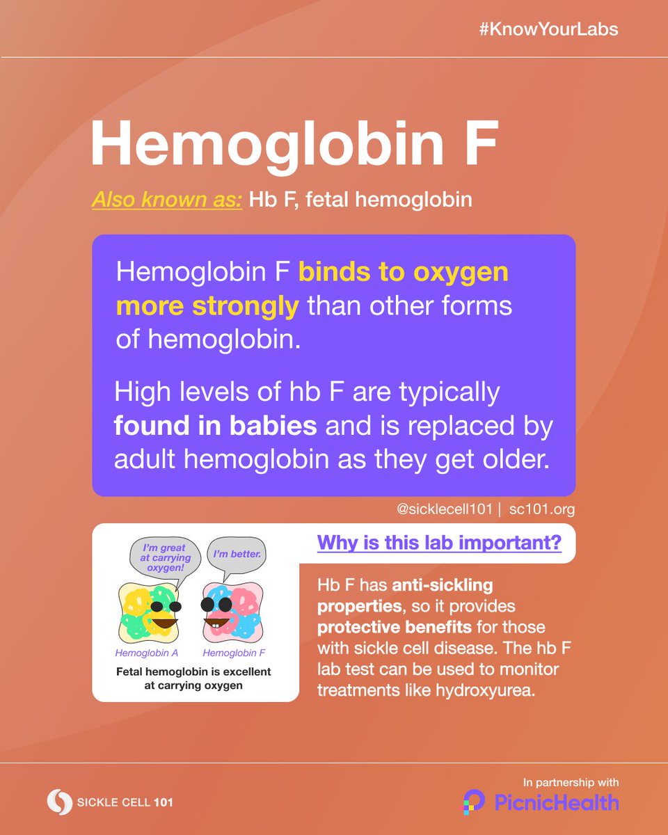 sicklecell101's tweet photo. Hemoglobin is an important lab to know because it helps red blood cells attach to oxygen (like magnets) and delivers it to parts of the body.
Accessing your medical records w/@PicnicHealth makes it easy to #KnowYourLabs - https://t.co/nzfY9ibb3m
#sicklecell101 #sicklecell https://t.co/cBuzzO7bK9
