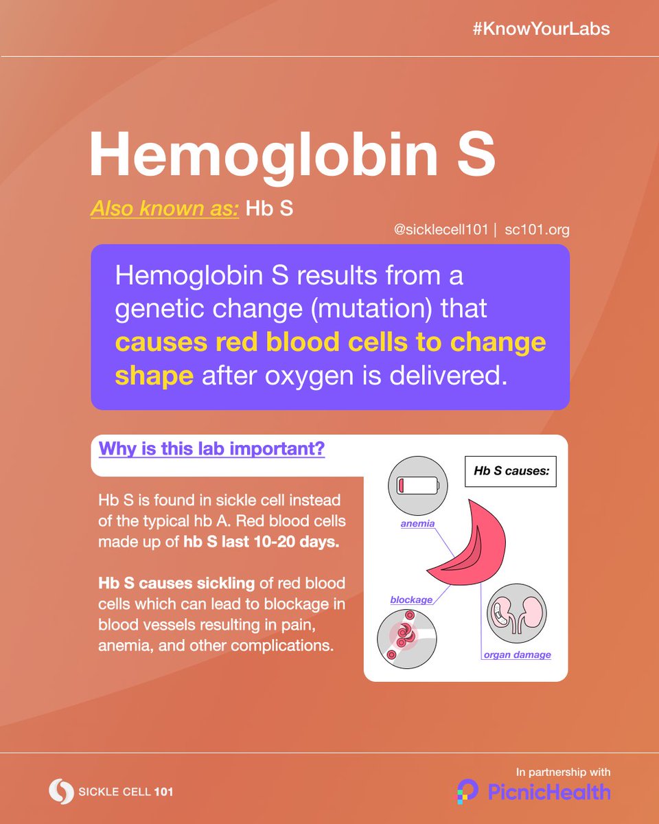 sicklecell101's tweet photo. Hemoglobin is an important lab to know because it helps red blood cells attach to oxygen (like magnets) and delivers it to parts of the body.
Accessing your medical records w/@PicnicHealth makes it easy to #KnowYourLabs - https://t.co/nzfY9ibb3m
#sicklecell101 #sicklecell https://t.co/cBuzzO7bK9