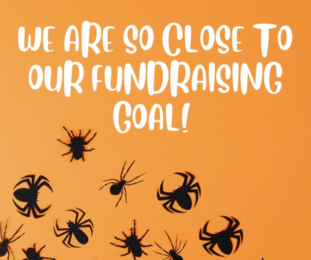 We can do this Dragon families! We are so close to meeting our fundraising goals. Funds raised will go toward  the new Pollination Courtyard Garden and or annual Christmas Hampers for St George families. ocsb.schoolcashonline.com/Fee/Details/55… <a href="/StGeorgeOCSB/">St. George School</a>