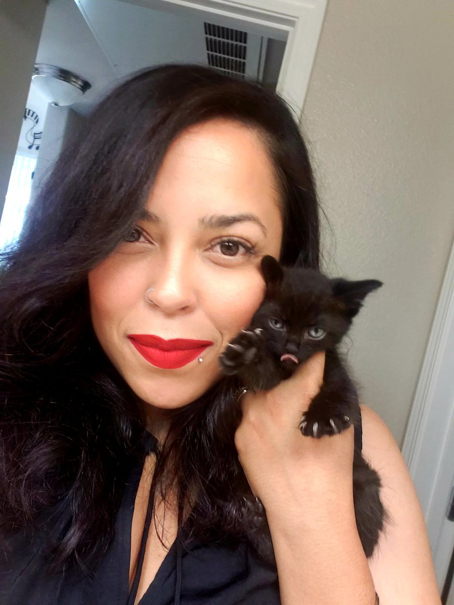 Gotta represent for #NationalBlackCatDay

It's our first Halloween after rescuing the lil homie "Kwame" &amp; I just realized I don't need to buy any decorations! 😏

🐈‍⬛🎃💀❤️🐈‍⬛🎃💀❤️🐈‍⬛🎃💀❤️