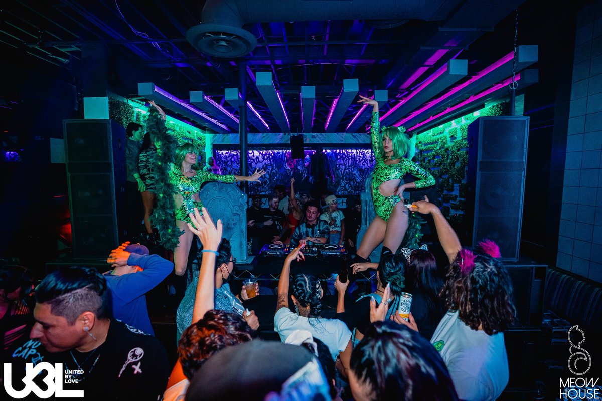 MeowHouse tweet media