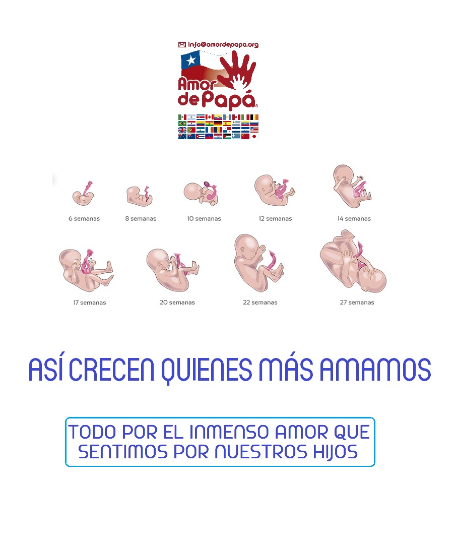 LeyAmordePapa's tweet photo. ¿QUÉ SENTISTE CUANDO SUPISTE QUE SERÍAS PAPÁ?

No dejes de proteger a quienes MÁS amas. ESO ES LO MÁS IMPORTANTE.

GRACIAS TODAS @AmordePapa por los grandes éxitos alcanzados para el MÁXIMO BIENESTAR DE NUESTROS HIJOS E HIJAS.

#LEYAMORDEPAPÁ #DEFENSORDELNIÑO #LAVIDANOSEMATA https://t.co/Dn4BhbTlhv