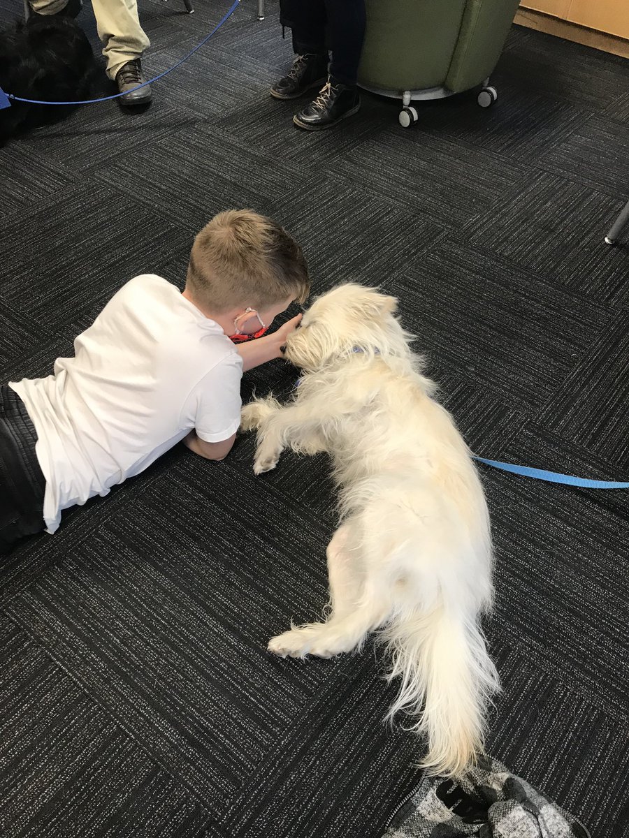 wtlc_wolves's tweet photo. So grateful to have our volunteers from PALS bringing the puppies back to WTLC today. #PlaceToBelong #WeAreCBE https://t.co/QdULGGbjBk