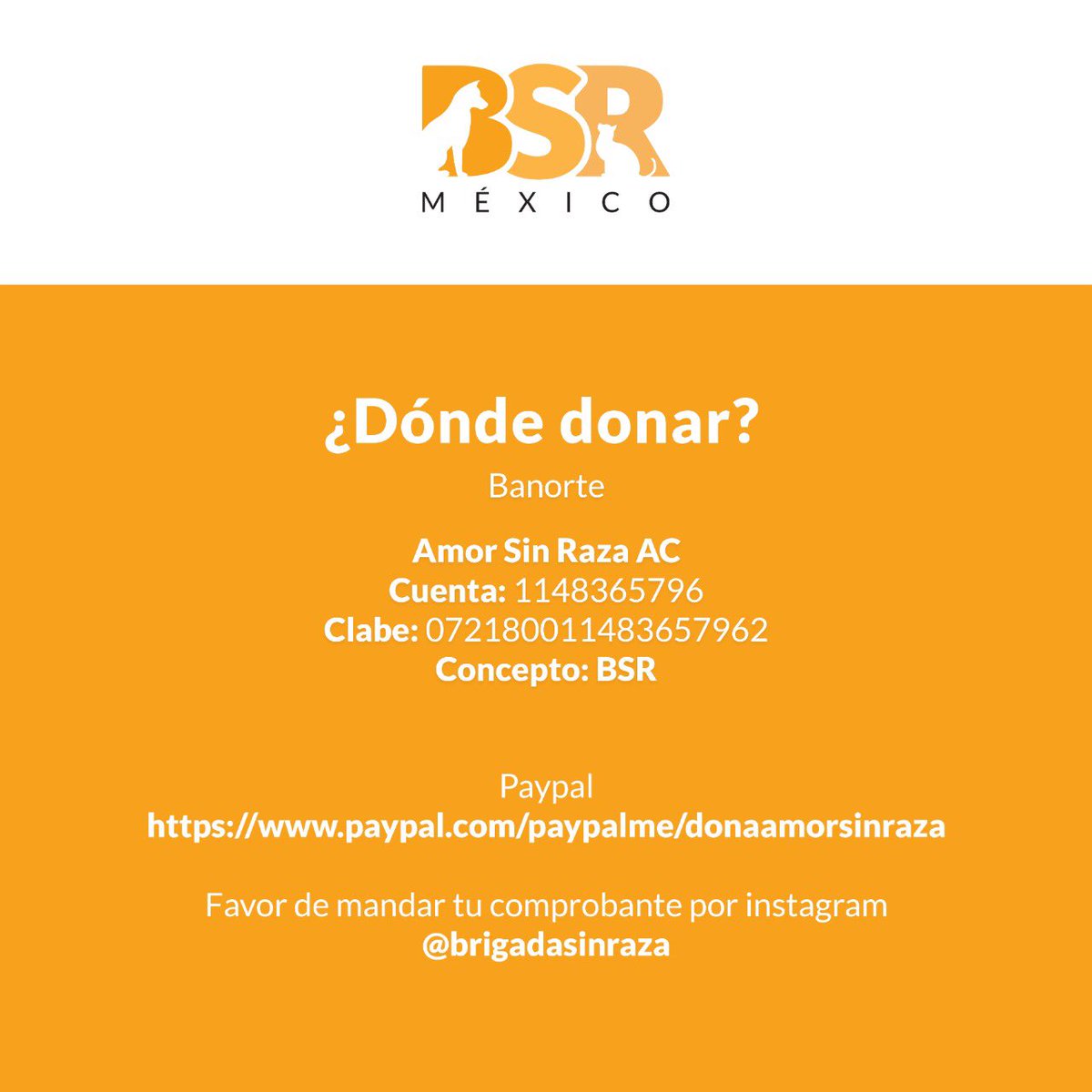 Brigada Sin Raza tweet media