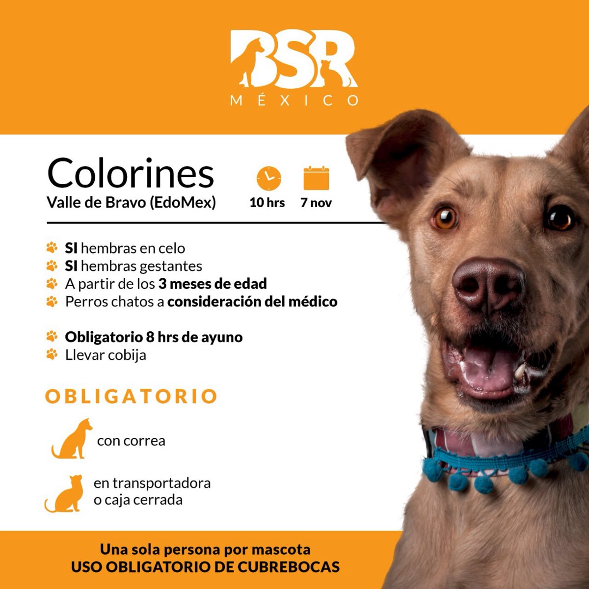 Brigada Sin Raza tweet media