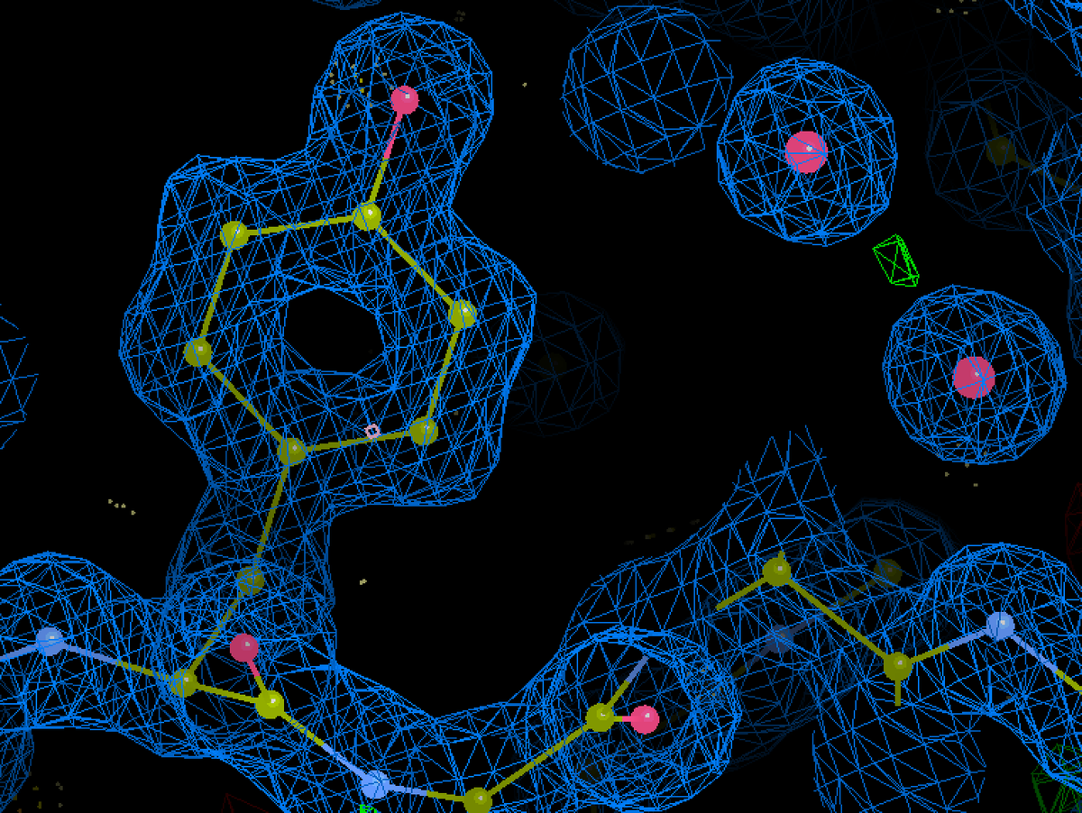 That awesome feeling when you are building into a high-resolution map...🧑‍💻🧬
#proteinstructure coming soon to <a href="/buildmodels/">rcsb pdb 💉🧬💻🔬💊🌱🧠🦠</a>