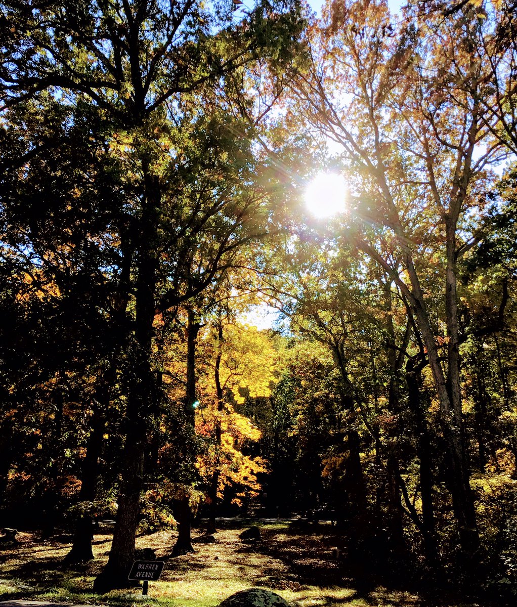 pir8lksat40's tweet photo. Hey#Gettysburg, your colors are showing. The enveloping canopies created by the acres and acres of majestic trees are beautiful! #VisitAPark #TakeAWalk #Colors #Autumnwatch #NaturePhotography #Favorite #GNMP https://t.co/tHgEqIJIBZ